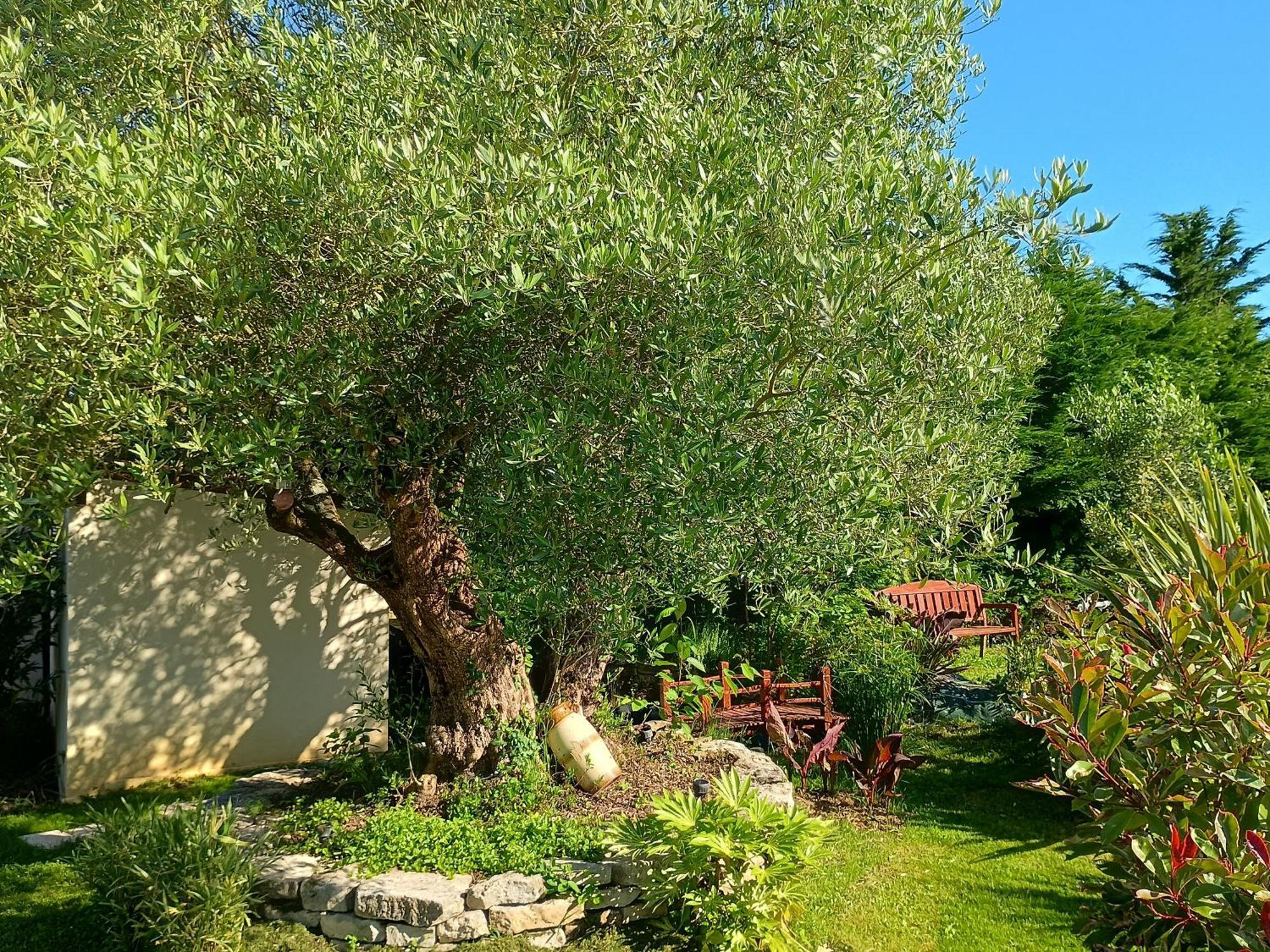Gite Les Rosiers Au Domaine Des Sauvineries Saint-Germain-de-Princay Eksteriør bilde